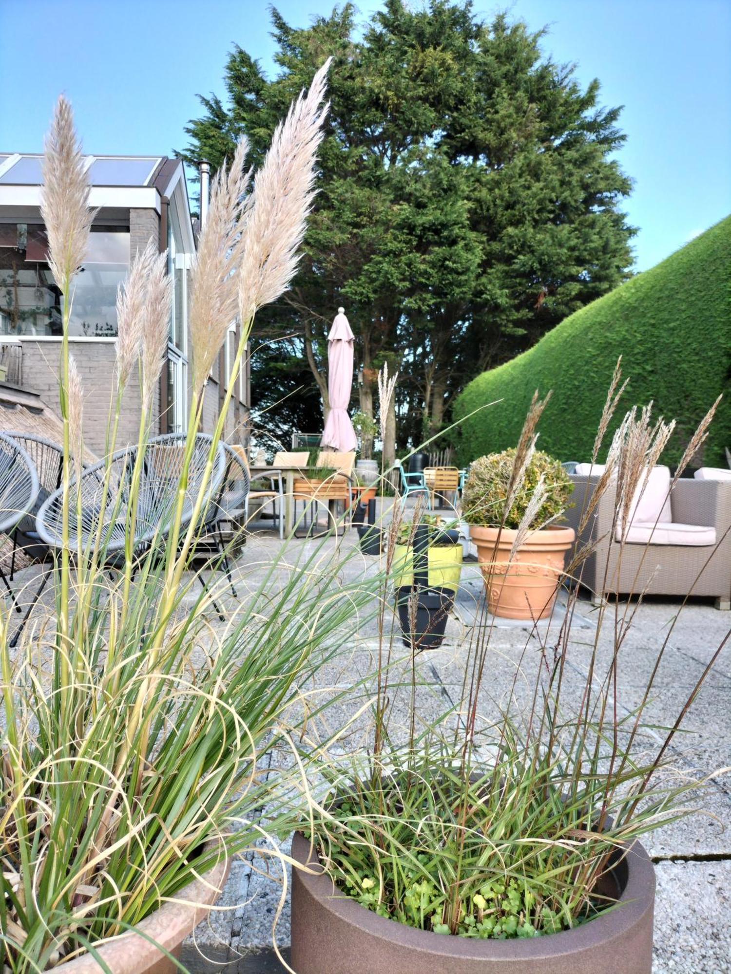 Boutique Hotel Butler Zuienkerke Exteriér fotografie